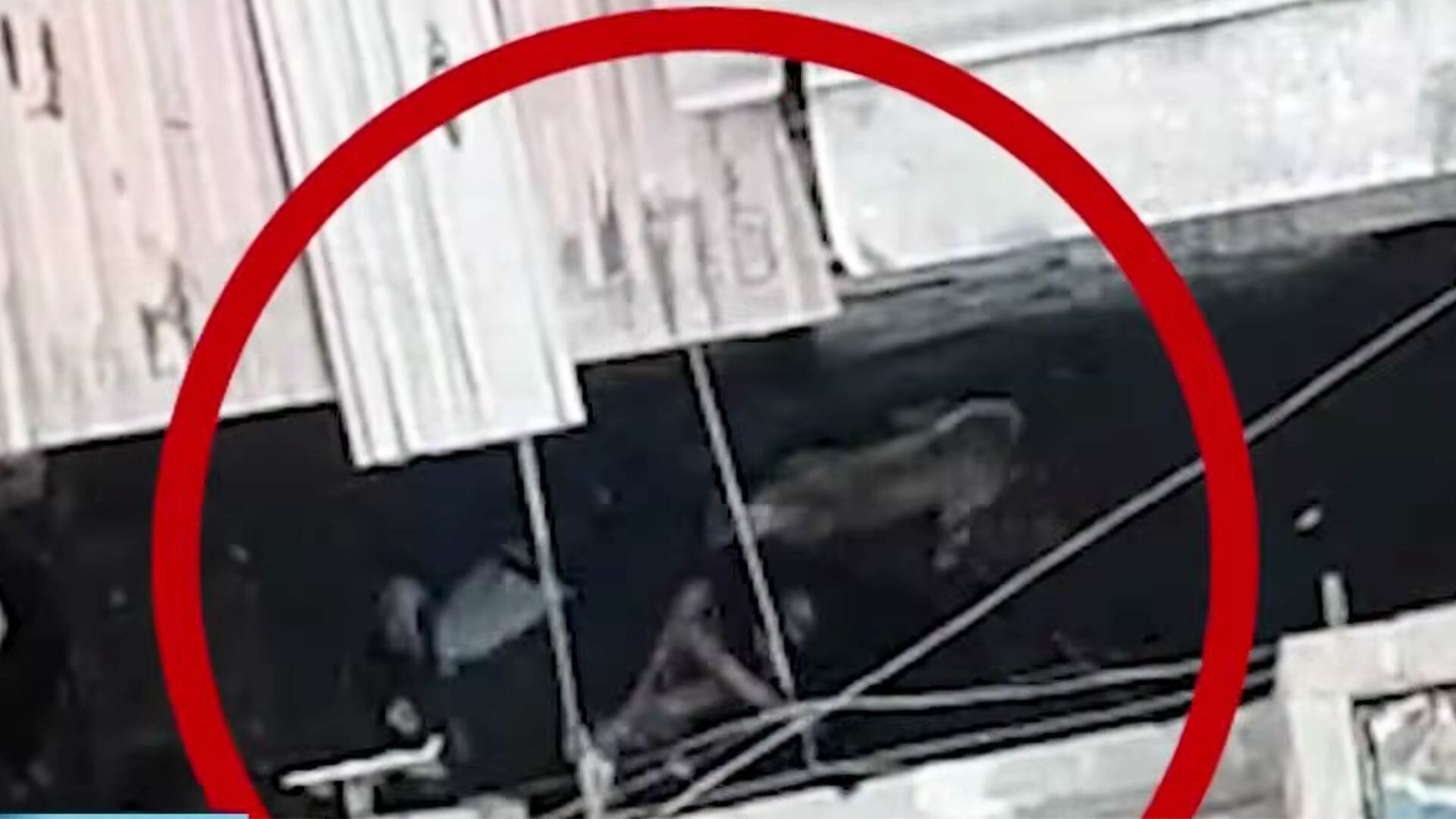 Delincuentes lanzan perros contra agentes en pleno allanamiento antidrogas en Surquillo - BDP