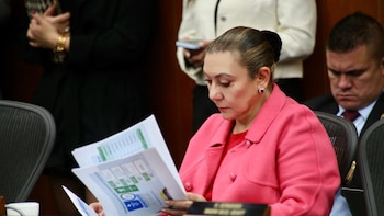 Directora del Icbf aseguró que “familia solo hay una” y armó polémica en el Senado: “Provocadora y peligrosa”