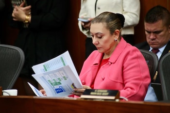Carolina Restrepo, directora del Icbf, fue citada a debate de control político en la Comisión Séptima del Senado - crédito ICBF/X