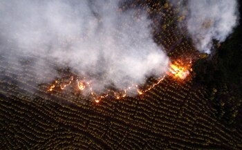 Los siniestros estallaron hace ocho