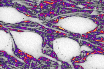 Imagen KEBGPEL2BJG4RHHXE5GPZEKI5Q