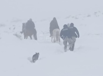 Un paisaje nevado con tres personas a caballo, dos agentes de policía caminando y un animal en primer plano