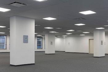 El espacio elegido para la