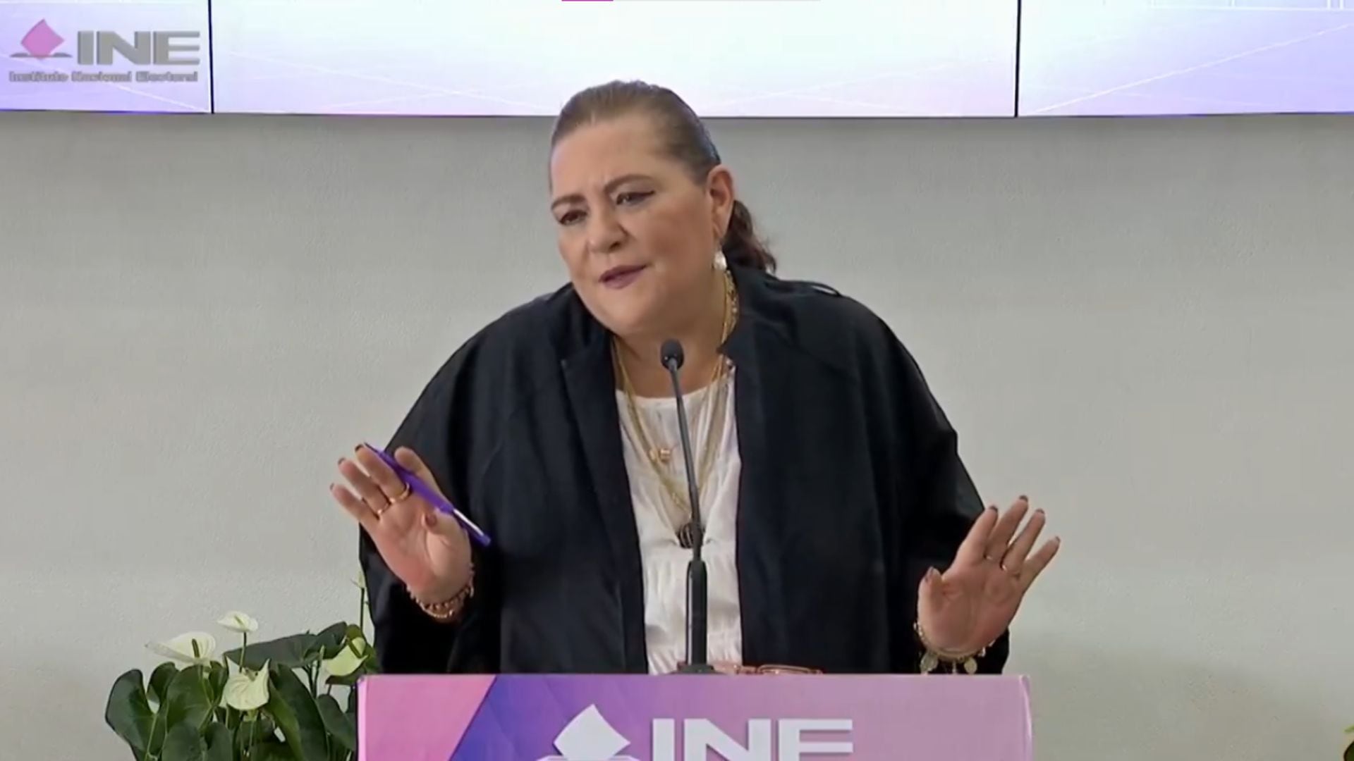 Guadalupe Taddei aseguró que el INE aún no cuenta con un documento definitivo para la Comisión Presidencial. Foto: x.com/@INEMexico