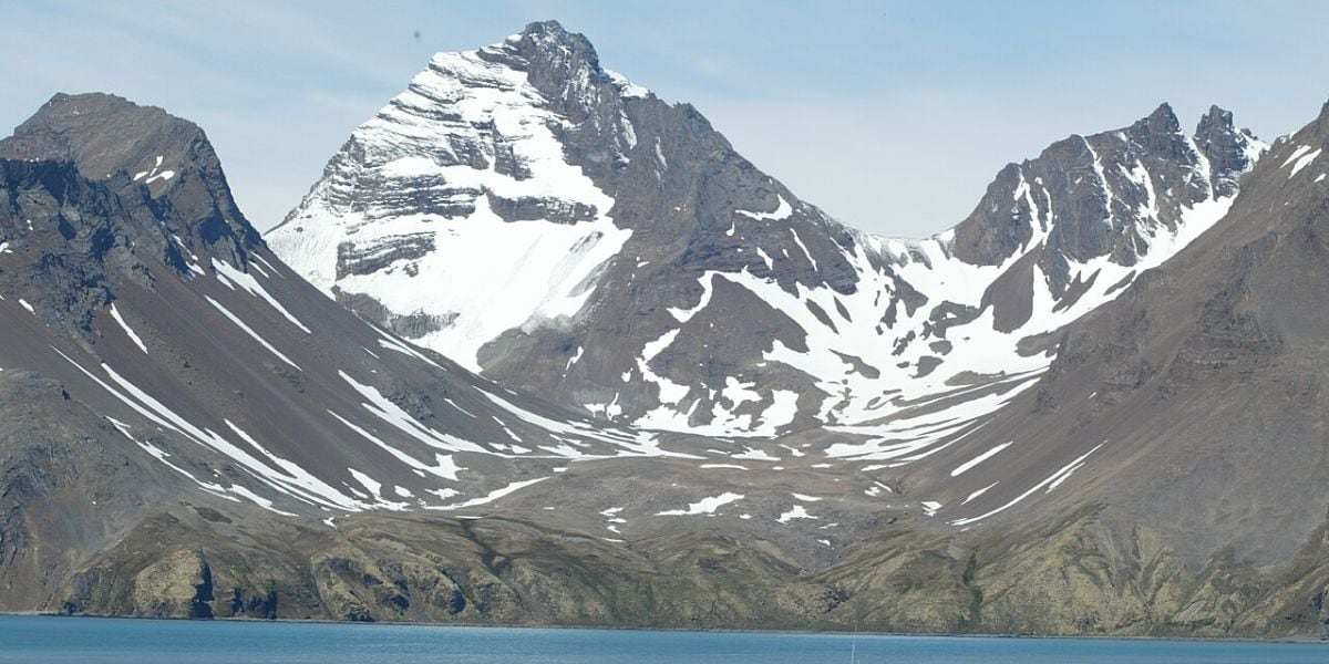 El entorno natural de Fortuna Bay combina glaciares, ríos trenzados y picos montañosos que conforman un santuario para la vida silvestre (foto: Wikipedia)
