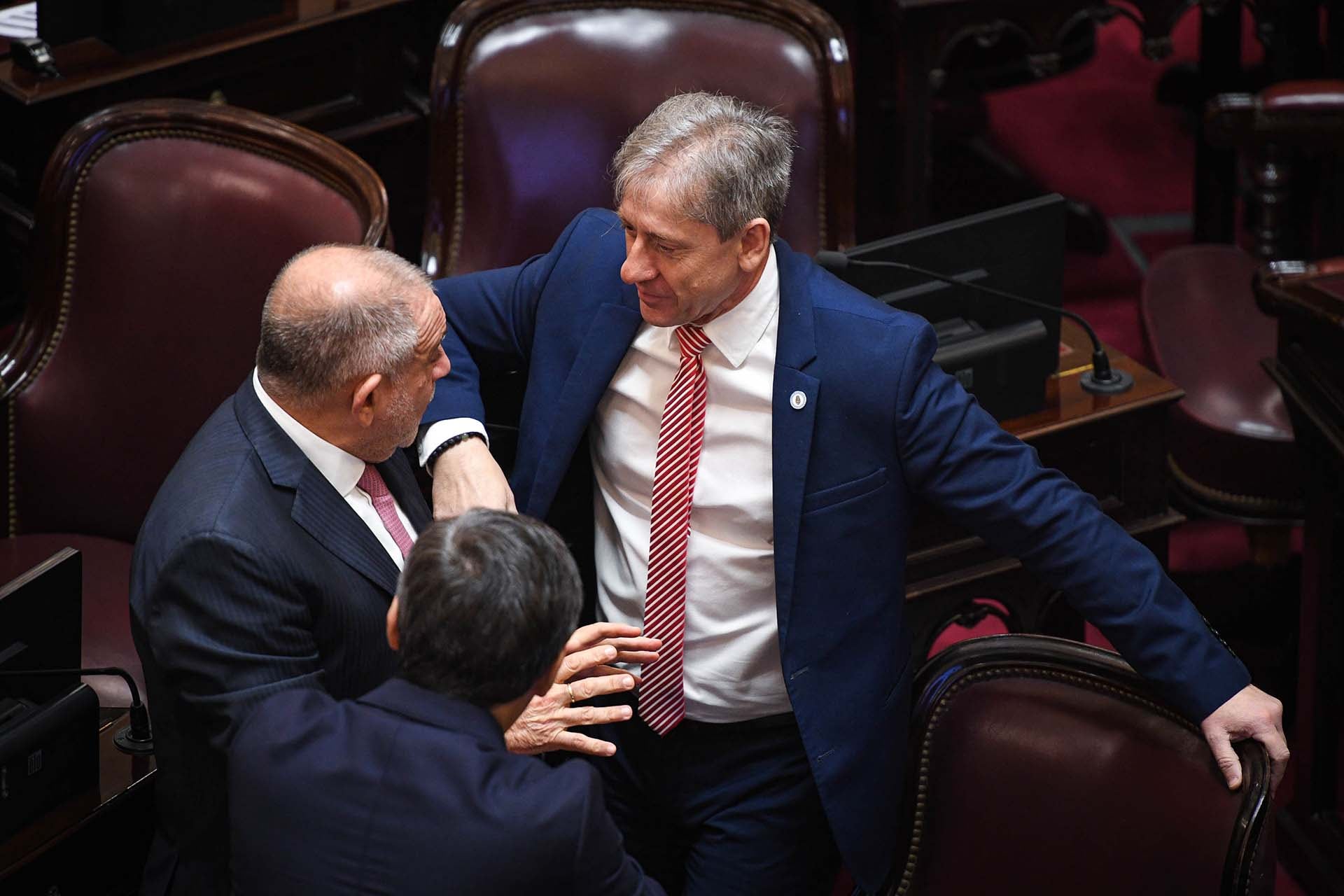 El líder de la bancada radical en la Cámara alta, Eduardo Vischi