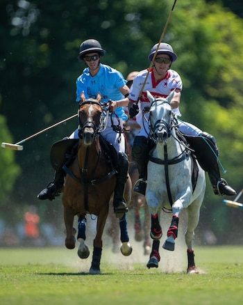 Los científicos argentinos utilizaron CRISPR-Cas9