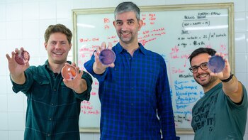 Mostrando los primeros resultados de