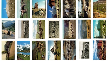 Oriol Vilanova convertirá el Pabellón