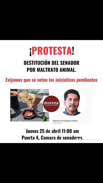 La manifestación se realizará el