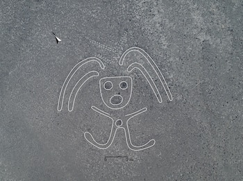 Los expertos creen que las