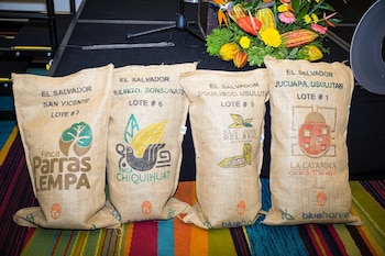 El detalle por partidas arancelarias muestra una concentración marcada, con un volumen mensual cercano a 0,4 millones de kilogramos y un giro hacia productos con mayor transformación industrial (Foto cortesía CENTA).