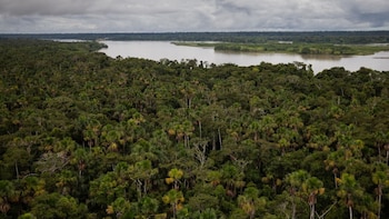 La importancia de la conservación