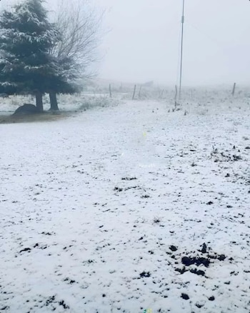 Nieve por la zona del