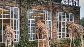 Hoteles inspirados en cuentos de