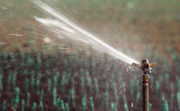 California obtiene hasta el 50%