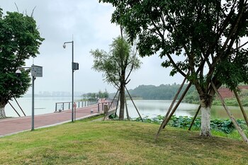 People walk along an almost