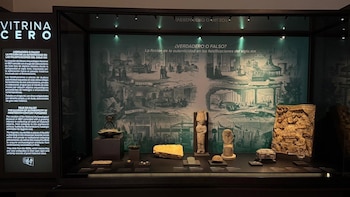 El Museo Arqueológico Nacional dedica su nueva Vitrina Cero a las falsificaciones del siglo XIX