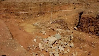 Una investigación revela que los