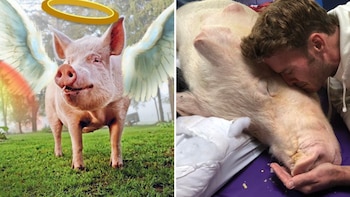 El legado que dejó Esther