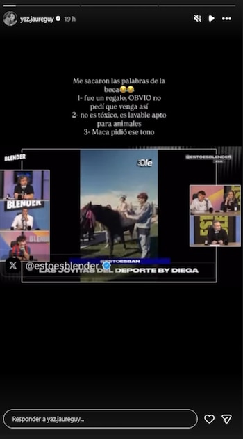 Captura de pantalla de historia de Instagram con texto y un video; el video muestra a Colo Barco junto a un caballo con crin y cola teñidas de rosa