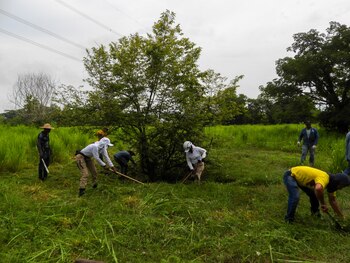 Una fosa común y objetos