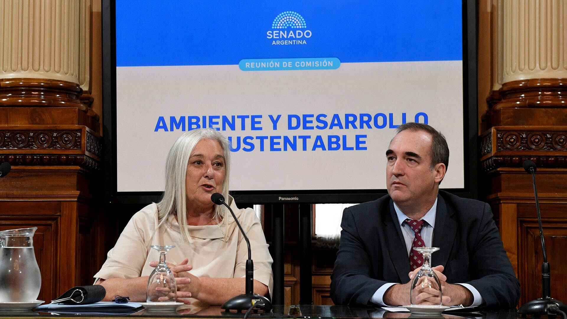 La legisladora radical y presidenta de la comisión de Ambiente y Desarrollo Sustentable de la Cámara alta, Edith Terenzi (Prensa Senado)