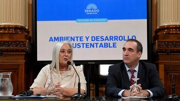 La legisladora radical y presidenta