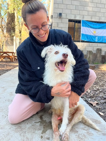 Mel Brizuela prestó su ayuda en el caso de Tony, el último perro que espera ser adoptado