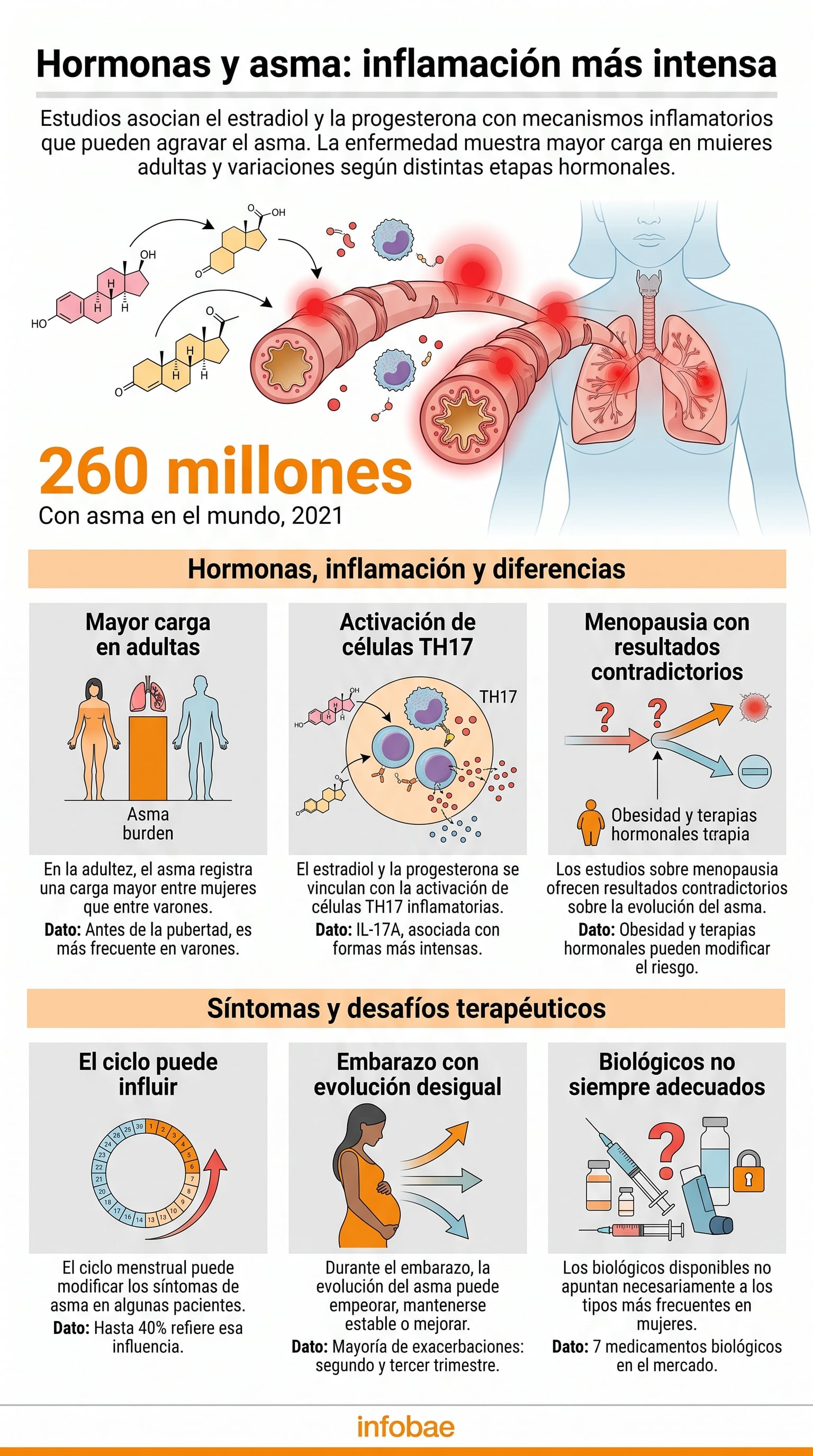 Las mujeres con asma presentan más crisis e internaciones, en un patrón que atraviesa la menstruación, el embarazo y la menopausia (Imagen Ilustrativa Infobae)