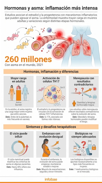 Infografía sobre hormonas y asma con esquemas de vías respiratorias inflamadas, datos estadísticos y gráficos de etapas hormonales.