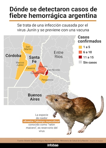Áreas endémicas e incidencia de