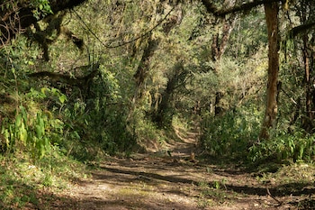 "La Reina" es una finca