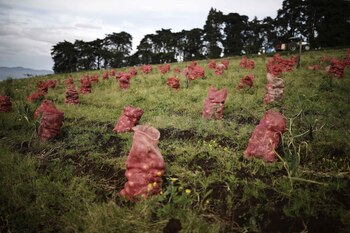 Fotografía de archivo de una