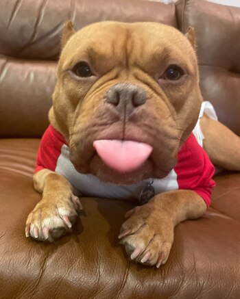 Los rescatistas aseguraron que la