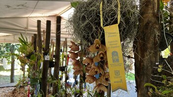 Más de 1.000 tipos de