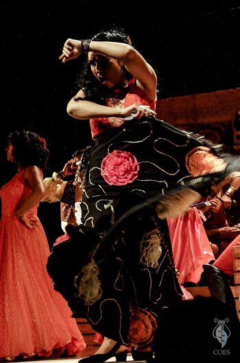 "Carmen" es una producción de