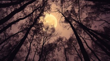 La luna muestra una parte