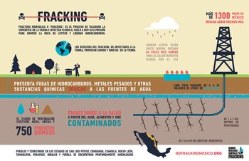 (Infografía: Alianza mexicana contra el
