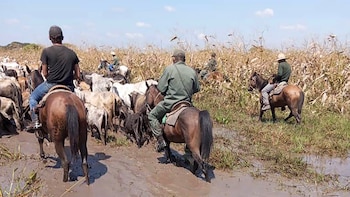 Militares y civiles armados incautan