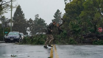 Un árbol derribado por fuertes