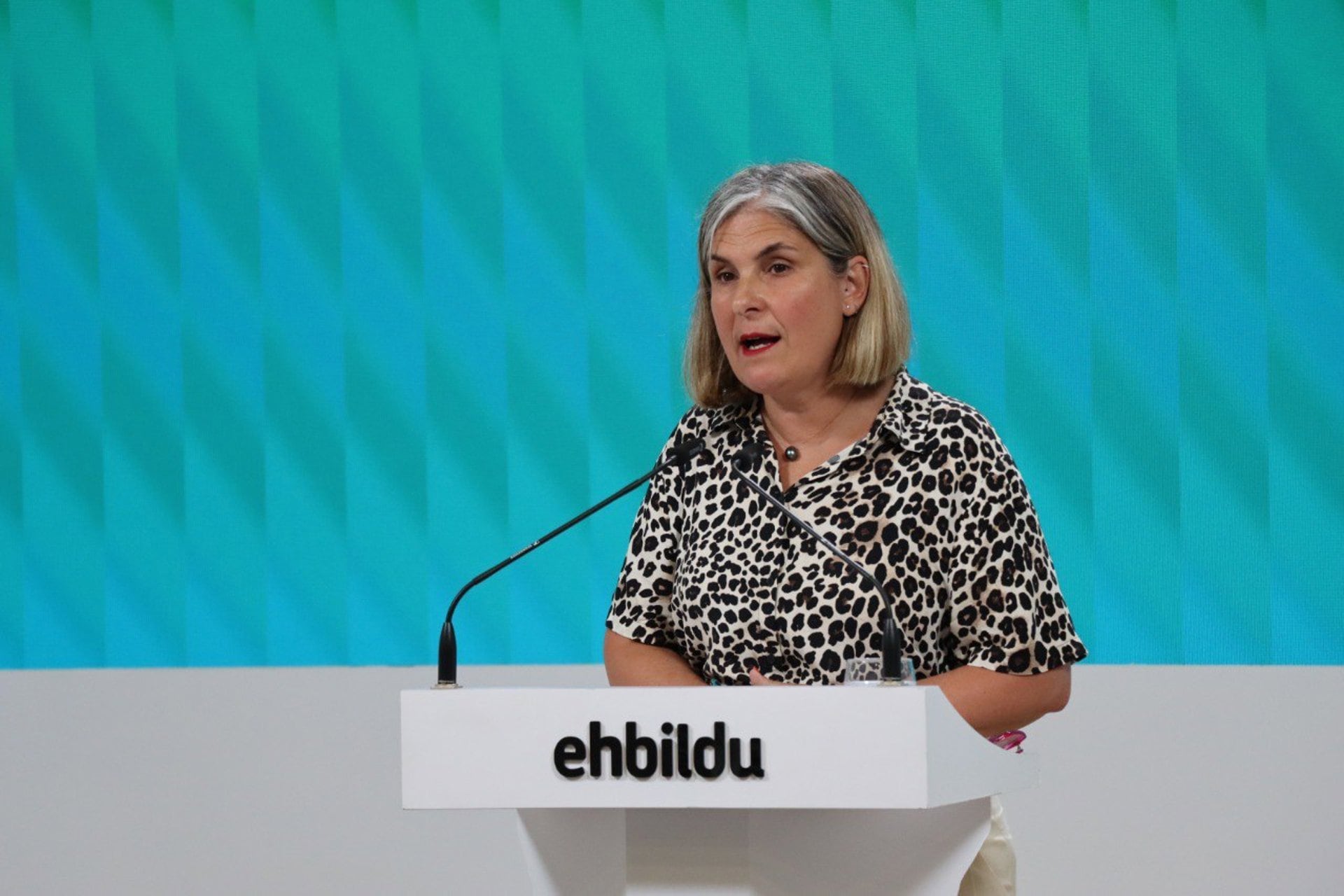 EH Bildu insiste en que Euskadi «dispone de herramientas suficientes» para establecer un SMI propio