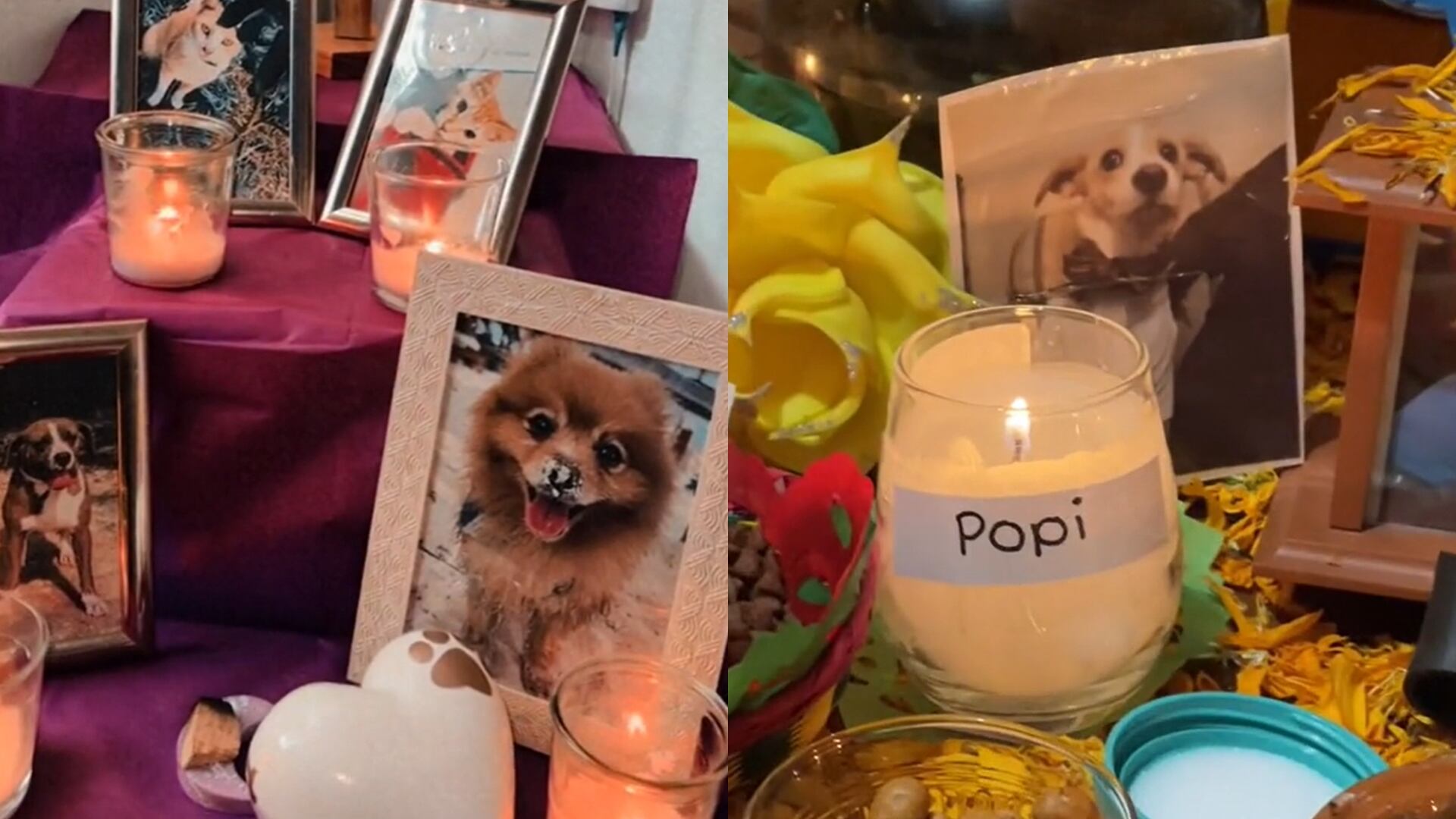 Realizar rituales de despedida, como escribir una carta o plantar un árbol, ayuda a procesar el duelo por una mascota.|(captura de pantalla)