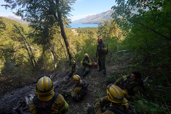 Bomberos combaten incendios forestales en