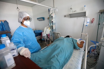 Fotografía que muestra a la