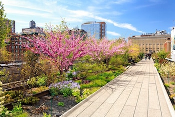 El High Line, parque elevado