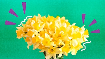 Esta es la canción que