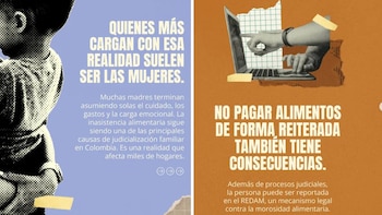 Los padres que no cumplen con su responsabilidad de aportar la cuota alimentaria acarrean problemas judiciales - crédito Secretaría de la Mujer
