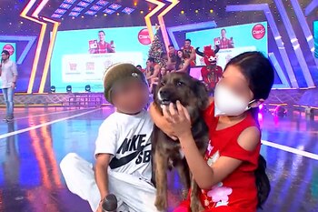 El pequeño recuperó a su