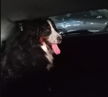 Personal realizó la valoración para